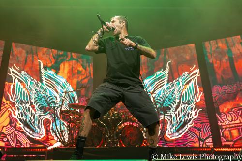 Lamb of God 08.18.2024