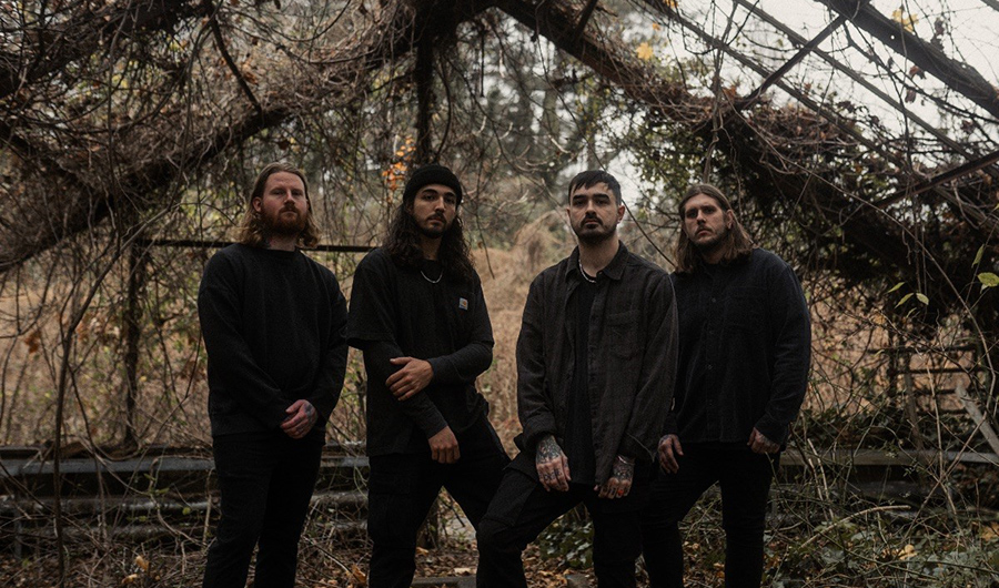 Like Moths to Flames