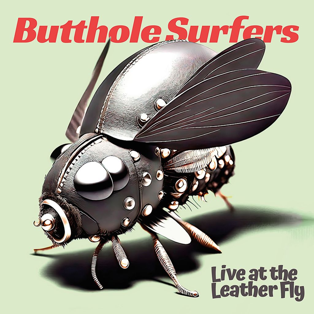 Butthole Surfers 2025