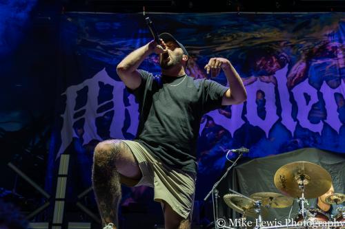 Malevolence 08.18.2024